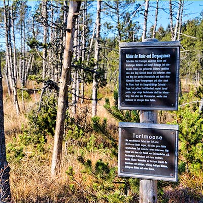 Moorgebiet rund um Hinterzarten